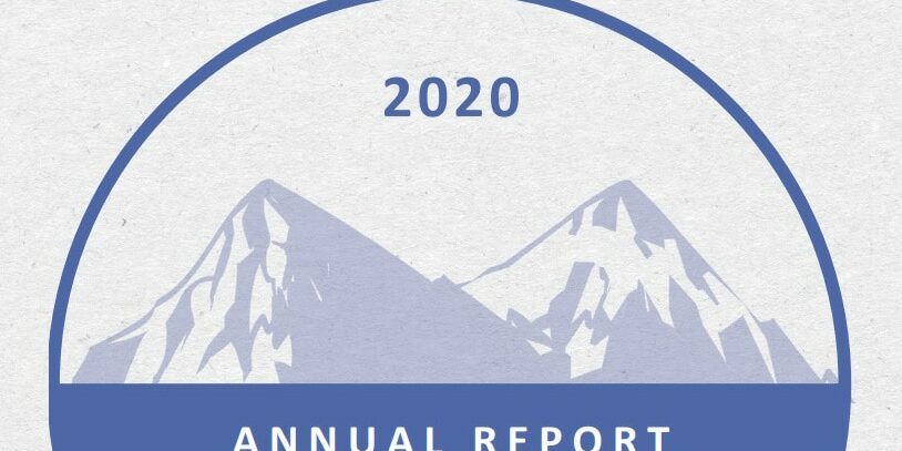 2020-annual-report
